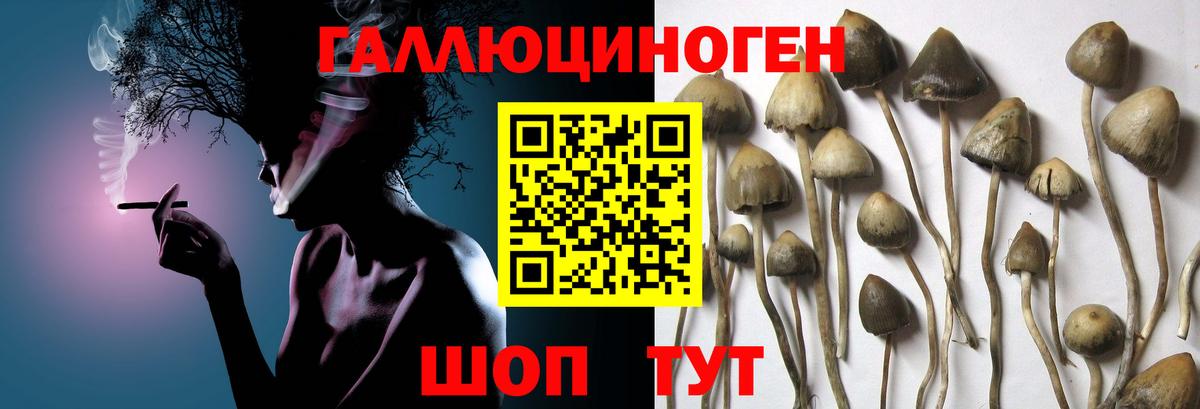 Соликамск  Псилоцибиновые грибы мухоморы  Псилоцибиновые грибы GOLDEN TEACHER  Вход с VPN 